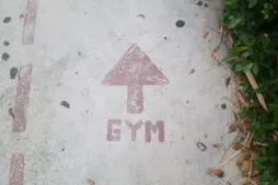 How to Create a Professional Marketing Plan for Your Gym