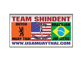 team shindent logo